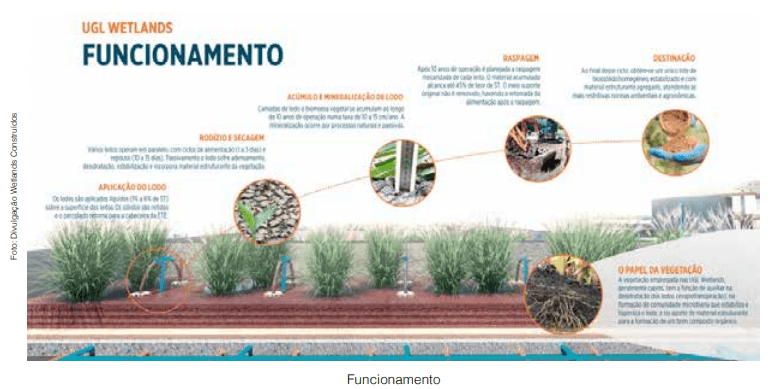 Tecnologia Wetlands: Uma solução natural para o tratamento de água e esgoto